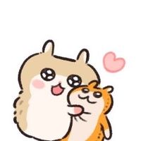 babyhamchu