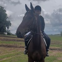 yourfavhorsegirl13