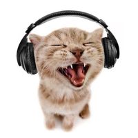 hyperpop._.music