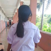 aom255066