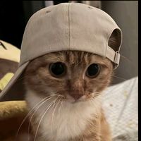 angjay