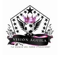 cefor.visin.aguil