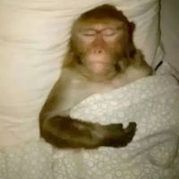 เสียงต้นฉบับ - 📀💿📸