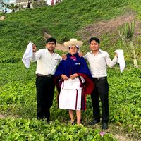 El camino de la vida JM