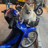 เสียงต้นฉบับ - ณัฐพงษ์เองครับ