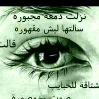 hajiba223