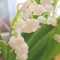 オリジナル楽曲 - みっちゃん