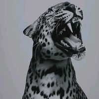 yyhfr17