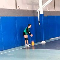 orijinal ses