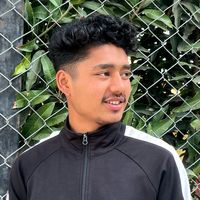 paras_bista_1