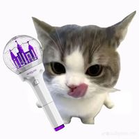 原聲 - 🐶冰琦淋(* ̆) ̆*).。.:*♡