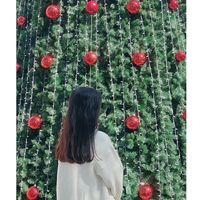 phha_cuti