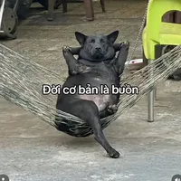 original sound - im_b.flan