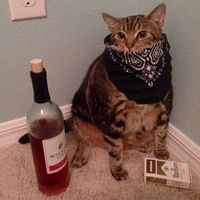 оригинальный звук