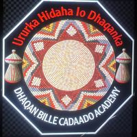 shiinoxasancade3