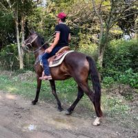 horacio._.quezada