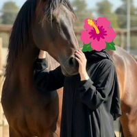 umdeema999