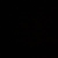 aisultan_520