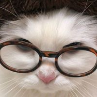 suara asli - dejavegaaa