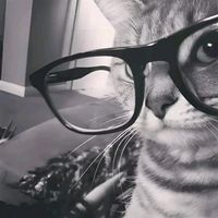suara asli - uiss