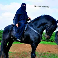 original sound - shabnam44112