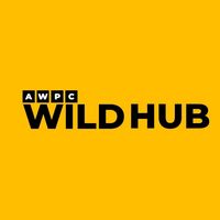 awpcwildhub