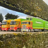 trucking_nz