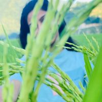 pratimanp18