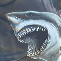 megalodonspearo