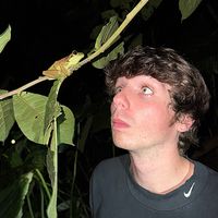 original sound - Eli