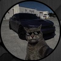ryan_s003