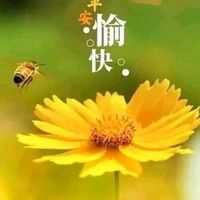 原声 - 爱💕