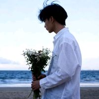 wivion_394