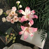 nhạc nền - YounG.