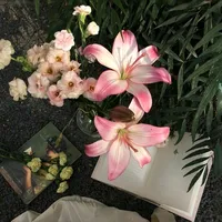 original sound - if.meti