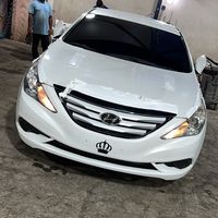skub..7