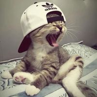 original sound