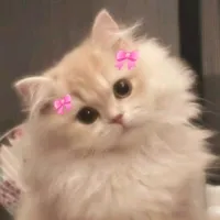 original sound - ______sparkle_____