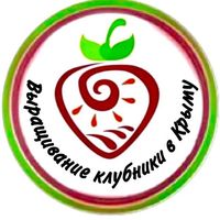 klubnika_kak_caxap