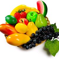 fruites__lover