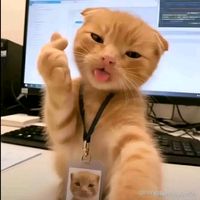 suara asli - Okky_anin