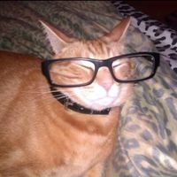 un_amargado_sensible