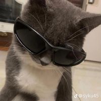 aunzun_vns1