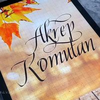 akrep4602