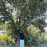 anusha.oli678
