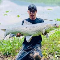 nhạc nền - Công Quý MC