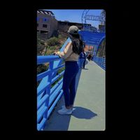 roxana501_