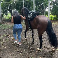 sofia.cuadros.444