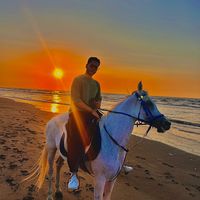 mostafa_koura