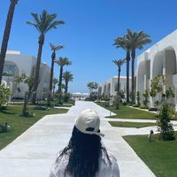 حورية PMU